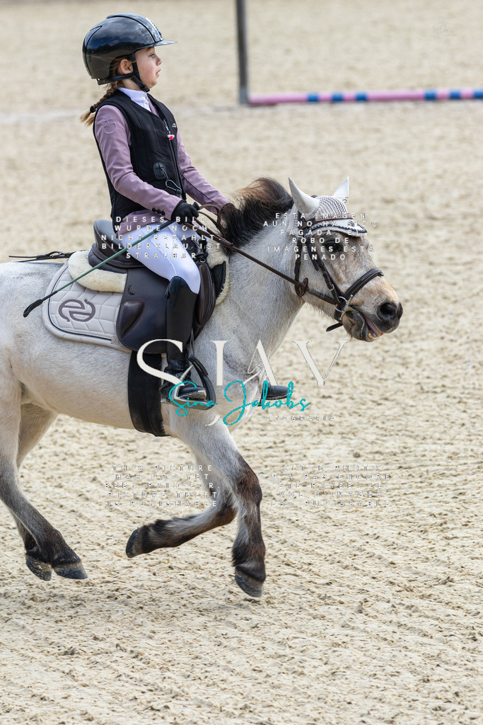 IMG_4703 | s-jay-photography - Realisiert mit Pictrs.com