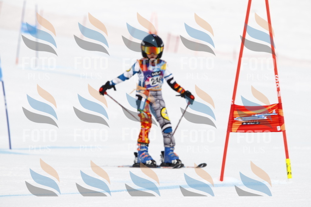 _U3G6221 | holidayphoto