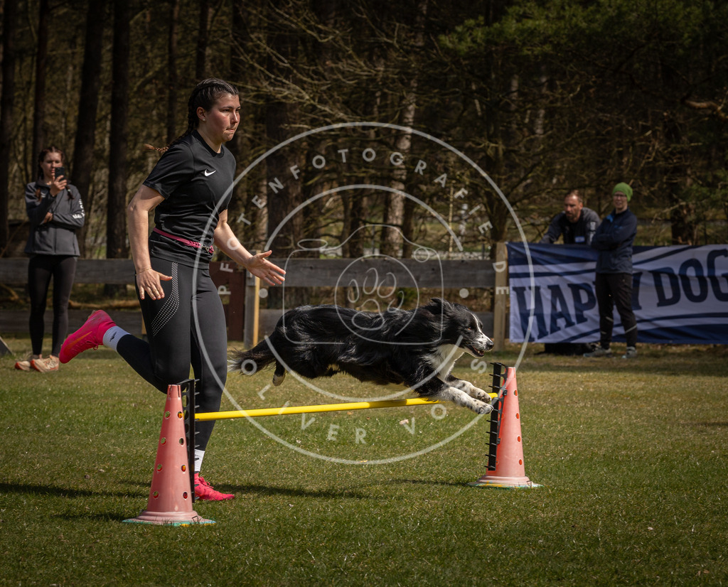 Pfotenfotografie_DV3A4030 | Hundefotografie, Tierfotograf, Pfotenfotografie, Fotoshooting Hund, Hunde Portrait, Hundesport, Hundeportraits, Heideshooting, Hunde, Sportfotograf, Hundefotograf, Turnierhundsport, THS,  - Realisiert mit Pictrs.com