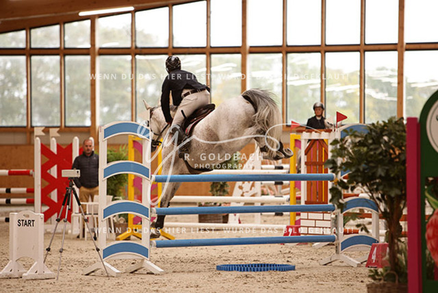 1J2A5637Jan Zdeb_ Masterclass_ Kn372_ Glantz_ Hohen Wieschendorf | Foto- und Videografie für alles rund ums Pferd. Hochwertige Bilder und Videos vom Spring- und Dressurreiten, Voltigieren & mehr. Jetzt aktuelle Veranstaltungen und Preise im Shop ansehen. - Realisiert mit Pictrs.com