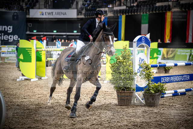 DOS_2785 | Entdecke hochwertige Reitturnierfotos von Foto Oger. Professionell, emotional und authentisch – jetzt Lieblingsmomente im Shop bestellen. - Realisiert mit Pictrs.com