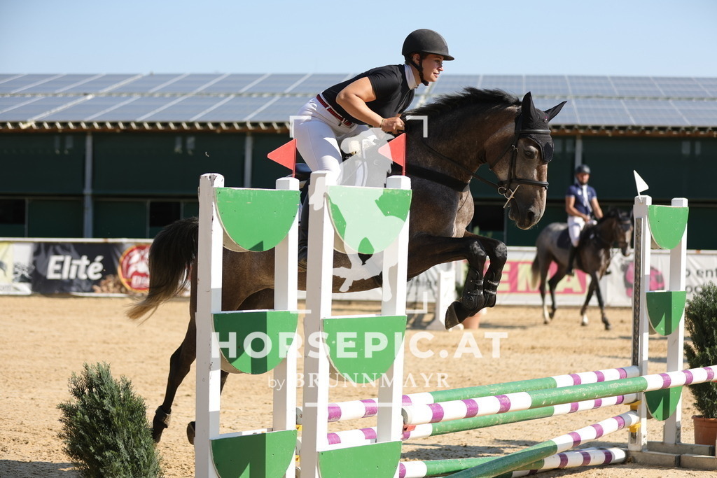 0P6A5238 | Willkommen bei Brunnmayr - Design & Fotografie – Ihrem Spezialisten für Reitturniere und Pferdeveranstaltungen in Oberösterreich, Salzburg und Bayern! Seit über 17 Jahren sind wir leidenschaftlich dabei.