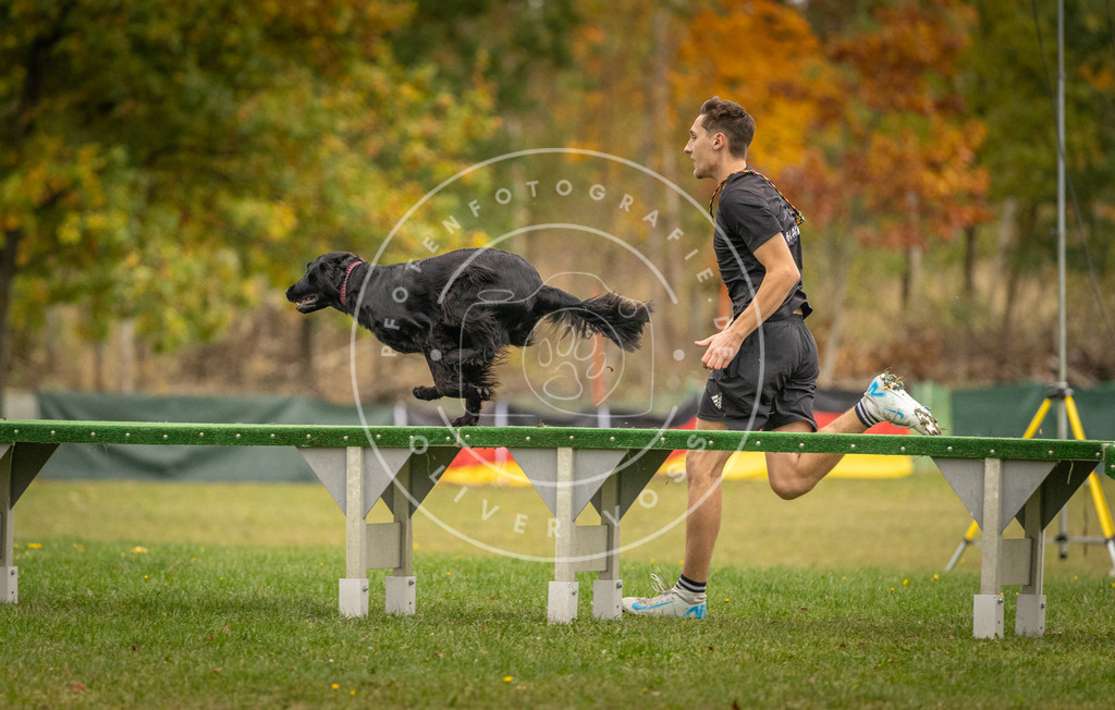 Pfotenfotografie_DV3A7689 | Hundefotografie, Tierfotograf, Pfotenfotografie, Fotoshooting Hund, Hunde Portrait, Hundesport, Hundeportraits, Heideshooting, Hunde, Sportfotograf, Hundefotograf, Turnierhundsport, THS,  - Realisiert mit Pictrs.com
