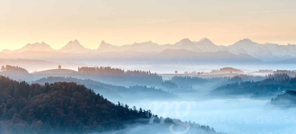 nebliger Herbstmorgen mit Berner Alpen mit Schreckhorn, Eiger Mönch und Jungfrau | Die ideale Geschenkidee für Naturliebhaber. Naturbilder von Marcel Gross Photography für ihr Zuhause in den verschiedensten Formaten und Materialien. - Realisiert mit Pictrs.com
