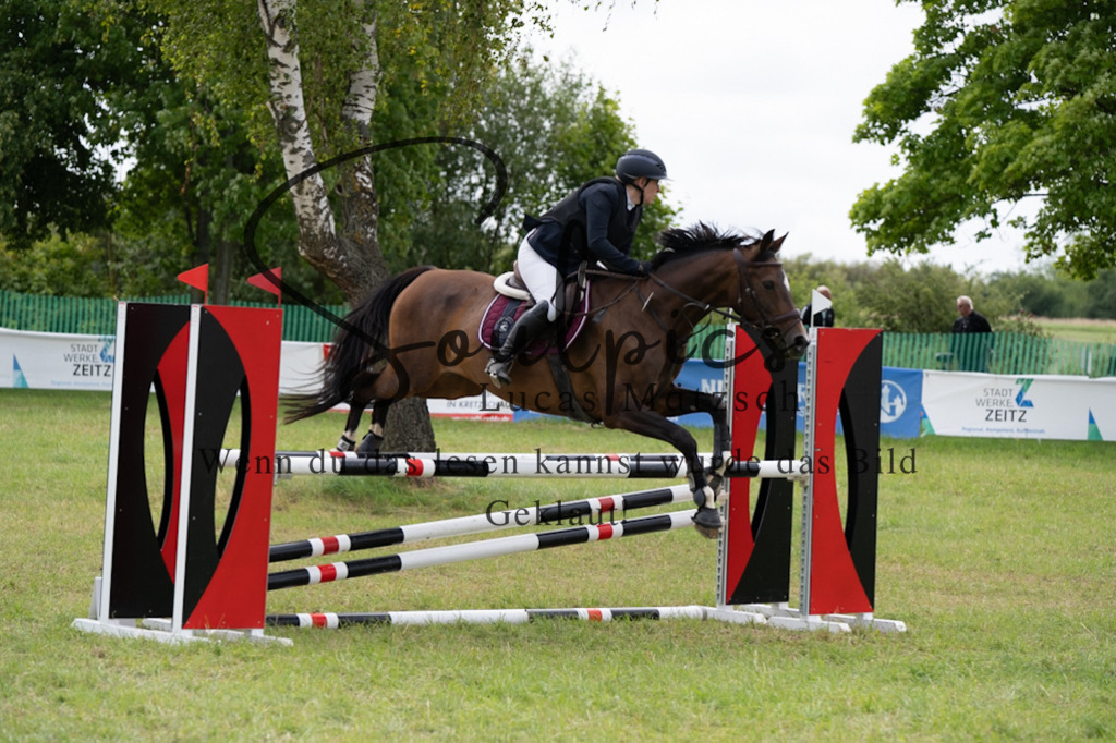 A7V05277 | Pferdefotograf