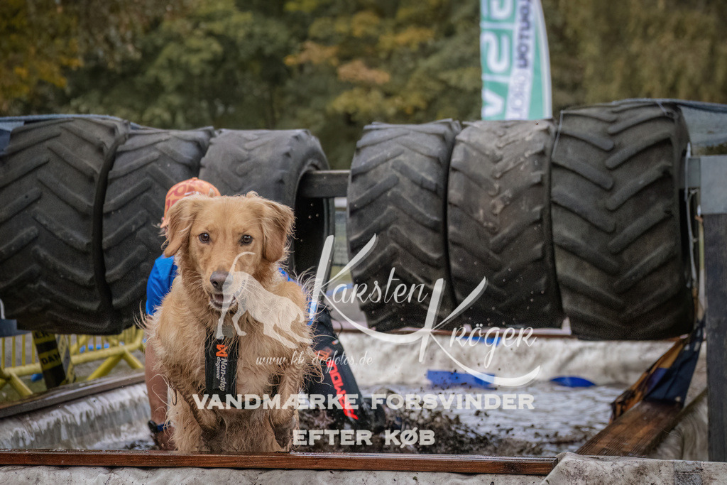 1644_ZZ93993 | kk-dogfotos