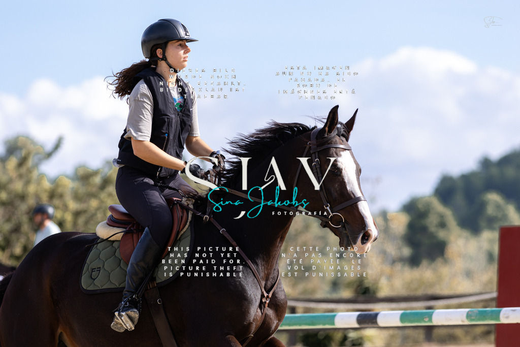 IMG_3662 | s-jay-photography - Realisiert mit Pictrs.com