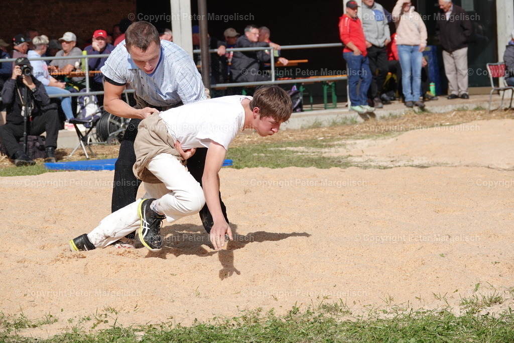 DSC00070 | Schwingen - Realisiert mit Pictrs.com