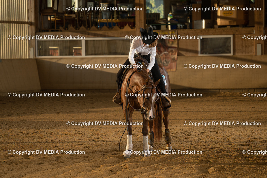 LAU02011 | dv-media-shop - Realisiert mit Pictrs.com