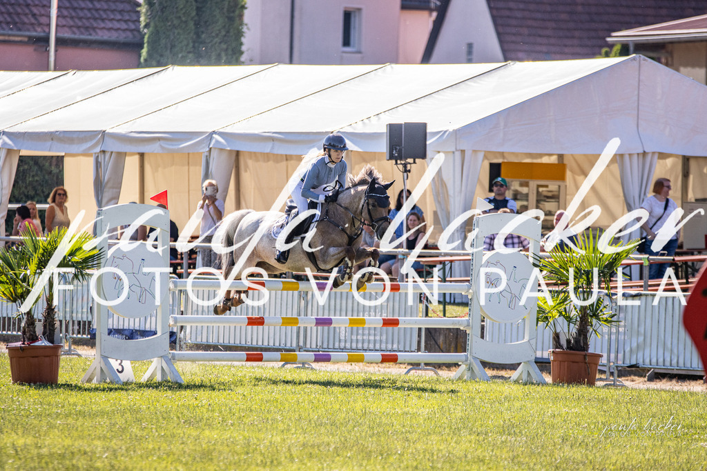 IMG_0156 | Erleben Sie dynamische Sport- und emotionale Tierfotografie in Süddeutschland mit Fotos von Paula. Spezialisiert auf Pferde- und Hundefotografie sowie Sportevents. Kontaktieren Sie mich für einzigartige und ausdrucksstarke Bilder Ihrer besonderen Momente. - Realisiert mit Pictrs.com