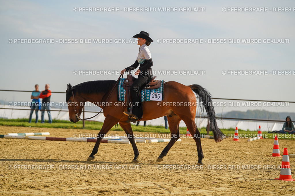 DSC01276 | Pferdegrafie