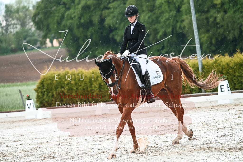 DSC_4308 | Pferde- und Turnierfotografie in Westsachsen. Pferdeportraits, Auftragszeichnungen und intuitive Kunst.