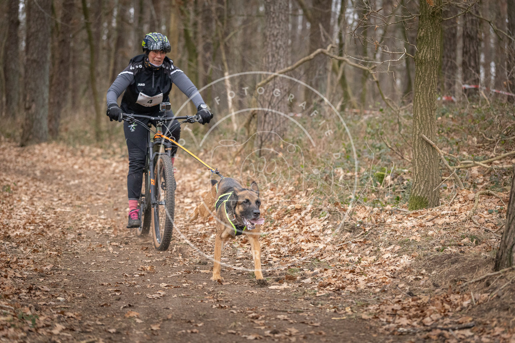 Pfotenfotografie_DV3A6372 | Hundefotografie, Tierfotograf, Pfotenfotografie, Fotoshooting Hund, Hunde Portrait, Hundesport, Hundeportraits, Heideshooting, Hunde, Sportfotograf, Hundefotograf, Turnierhundsport, THS,  - Realisiert mit Pictrs.com