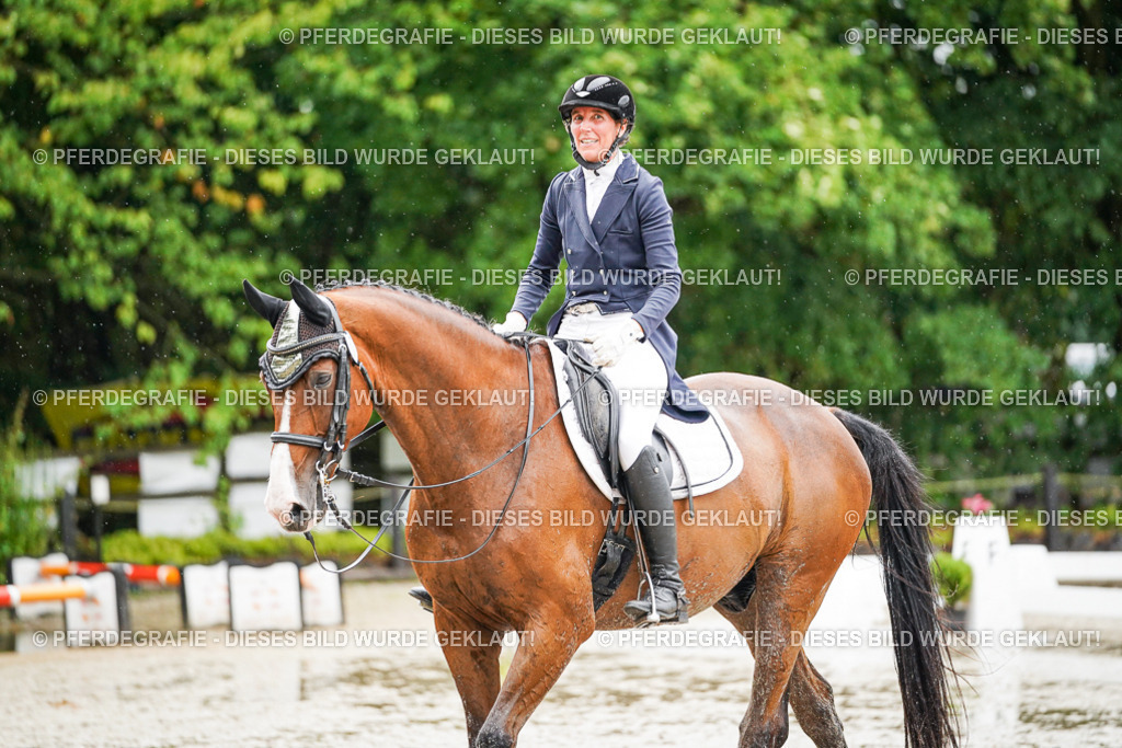 DSC08713 | Pferdegrafie