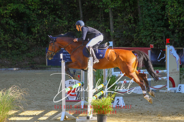 DKP42886 | Turniersportfotografie; Pferdefotografie; Dressurfotografie