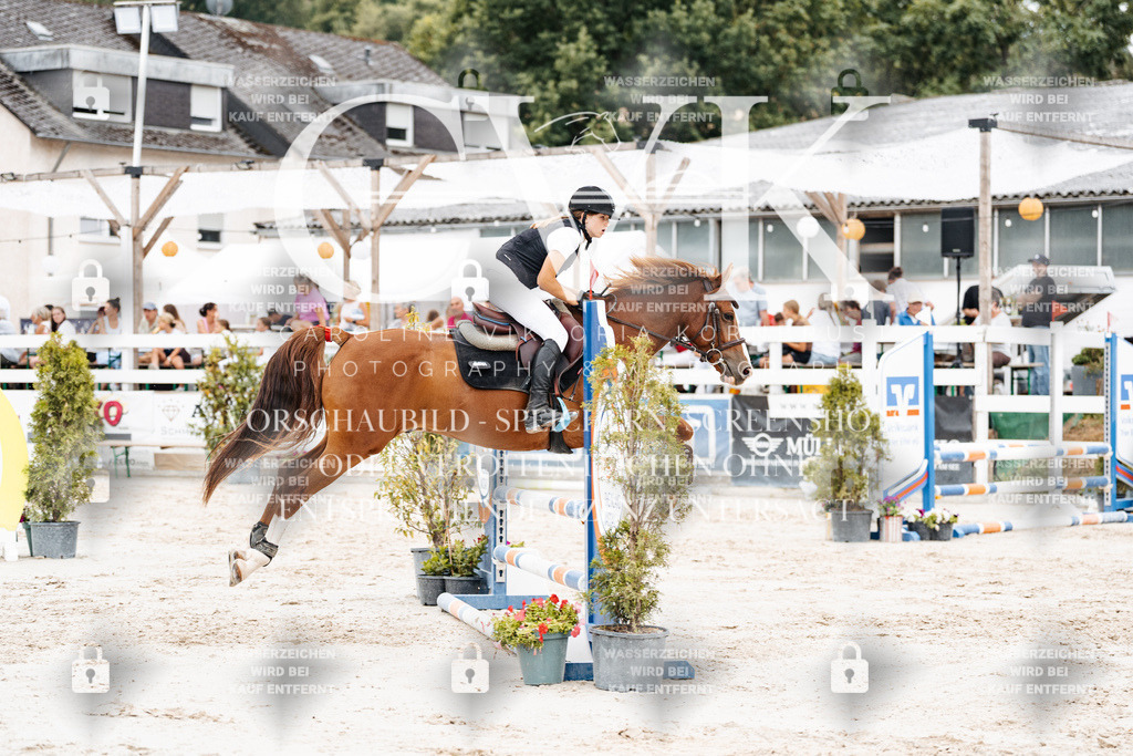 CK908237 | Turnierfotografie Pferdefotografie Trier Rheinland-Pfalz Pferdesport Reitsport Tierfotografie Sportfotografie Pferdevideo Pferdevideografie Equestrianvideography equestrianphotography  - Realisiert mit Pictrs.com