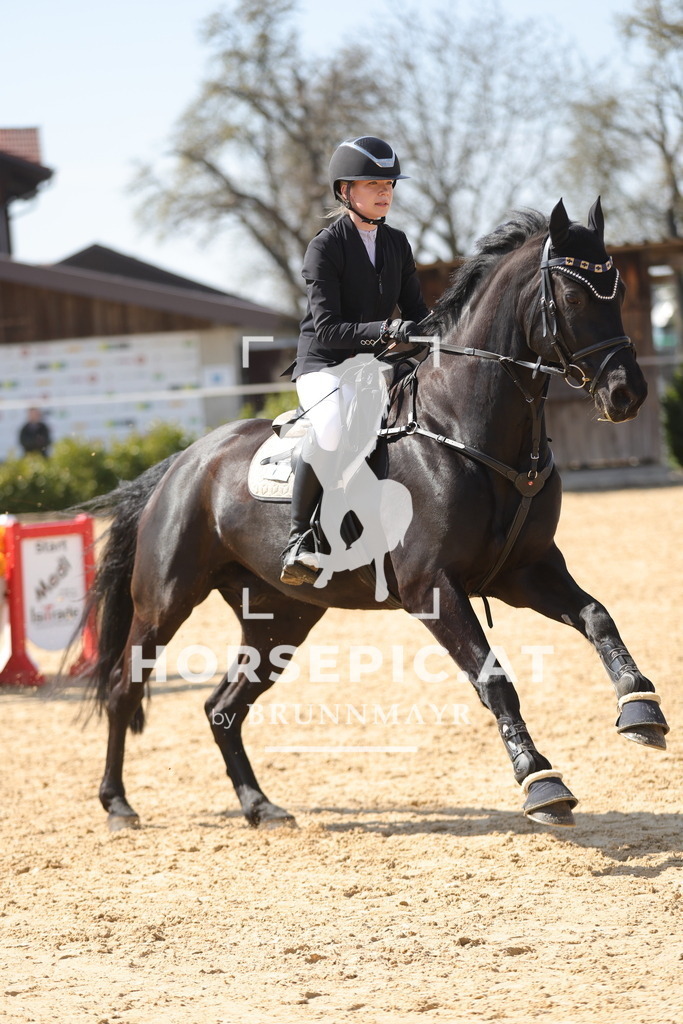 0P6A1451 | Willkommen bei Brunnmayr - Design & Fotografie – Ihrem Spezialisten für Reitturniere und Pferdeveranstaltungen in Oberösterreich, Salzburg und Bayern! Seit über 17 Jahren sind wir leidenschaftlich dabei.