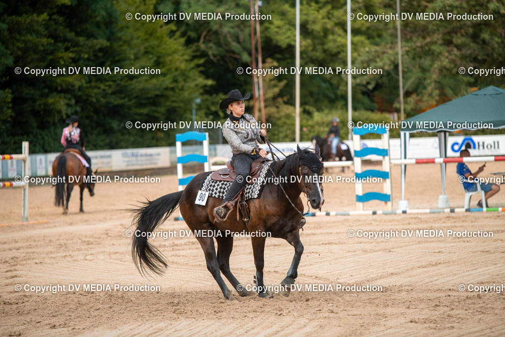 ZS2_8741 | dv-media-shop - Realisiert mit Pictrs.com