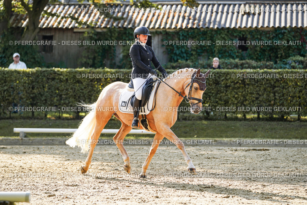 DSC05862 | Pferdegrafie