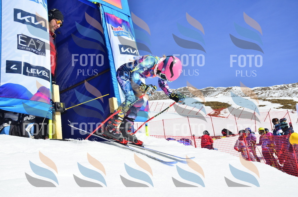 _ELE9880 | holidayphoto