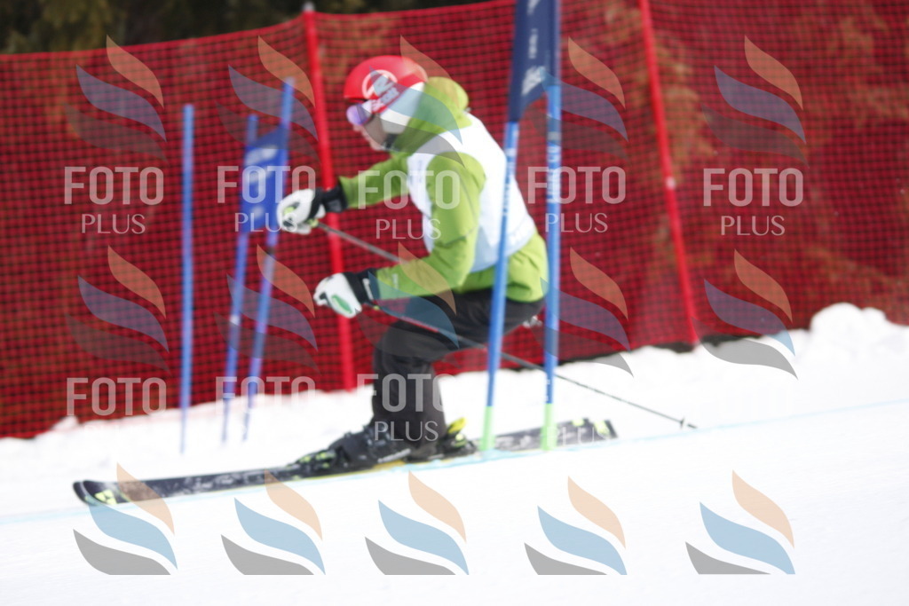 D6004 | holidayphoto