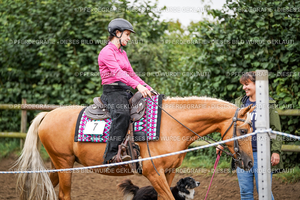 DSC03844 | Pferdegrafie