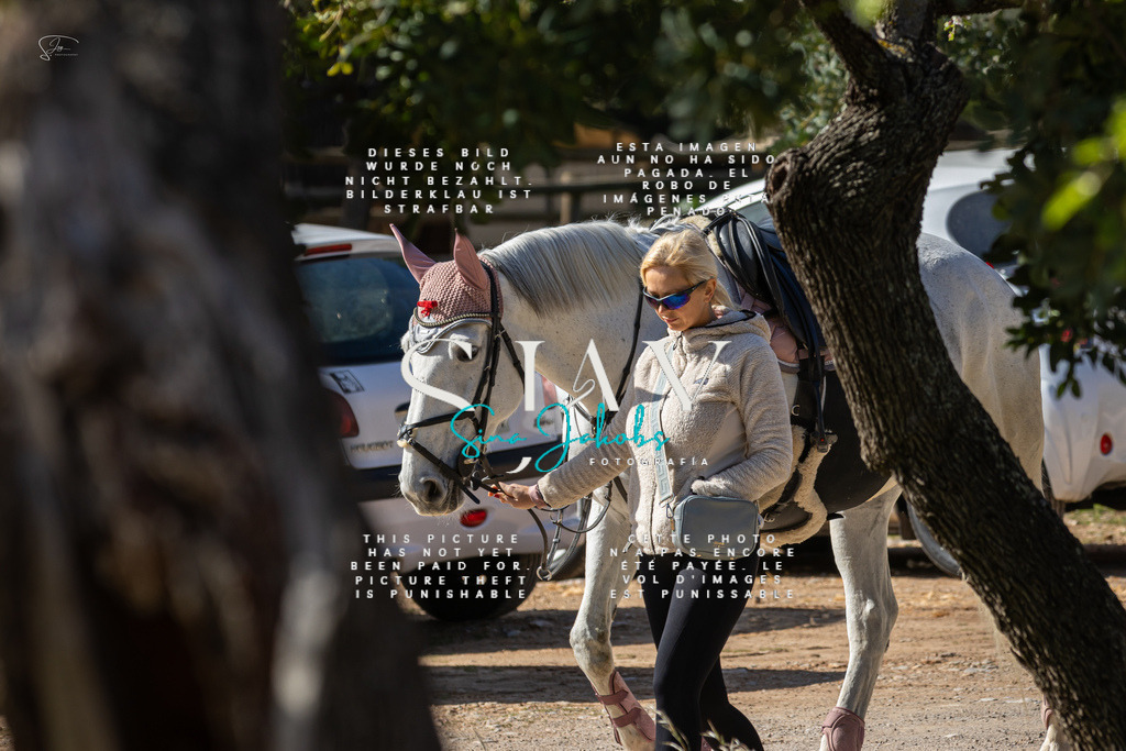 IMG_6346 | s-jay-photography - Realisiert mit Pictrs.com