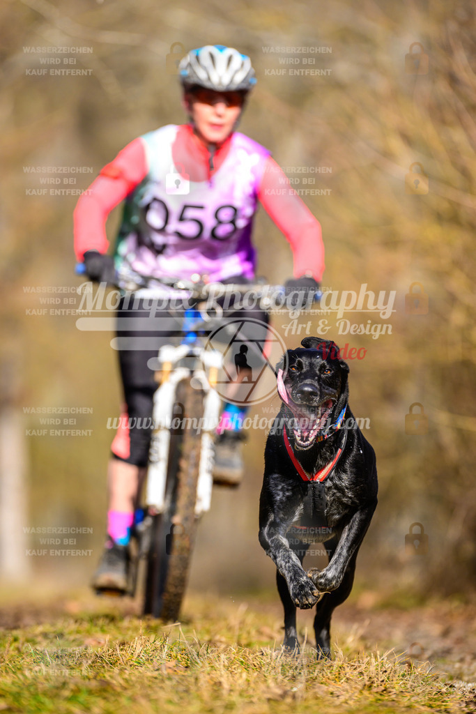MompixPhotography_Schwabentrail2025_SO_Bike-74 | PayLife