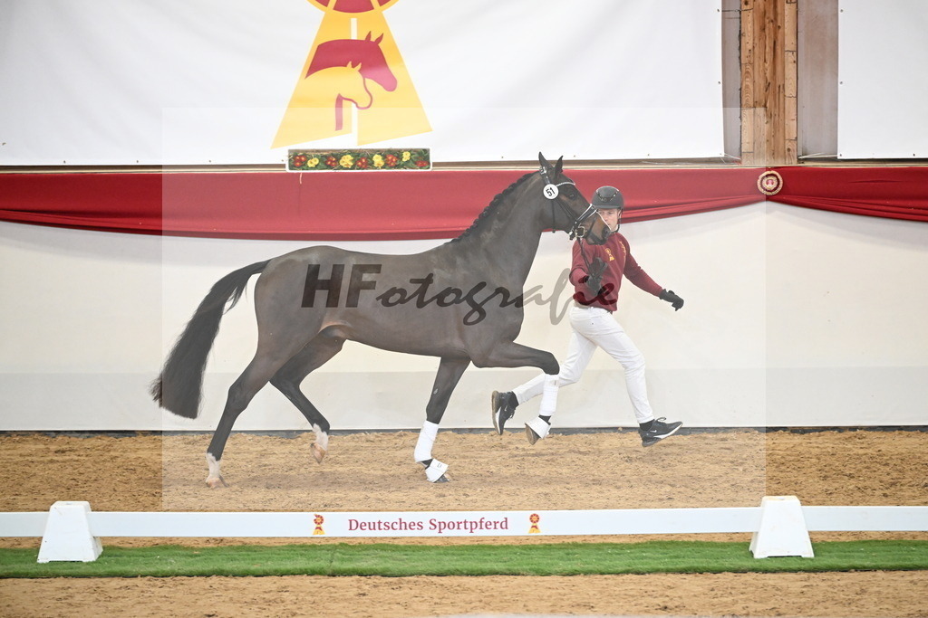 Kat.-Nr. 51 v. Donkey Boy_Lenzen_2250203 | hf-fotografie - Realisiert mit Pictrs.com