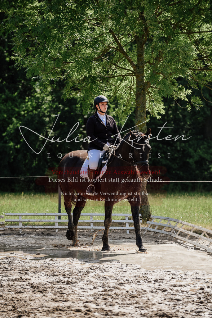 DSC_0158 | Pferde- und Turnierfotografie in Westsachsen. Pferdeportraits, Auftragszeichnungen und intuitive Kunst.