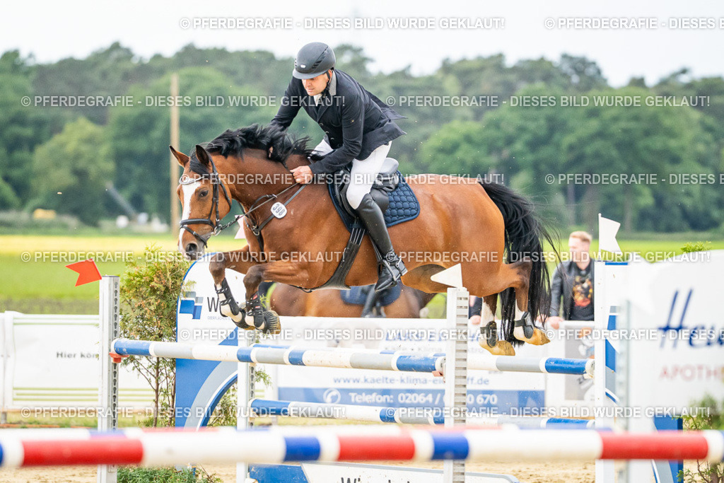 DSC06785 | Pferdegrafie