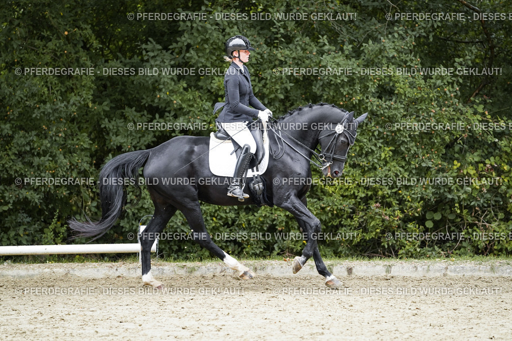 DSC02364 | Pferdegrafie