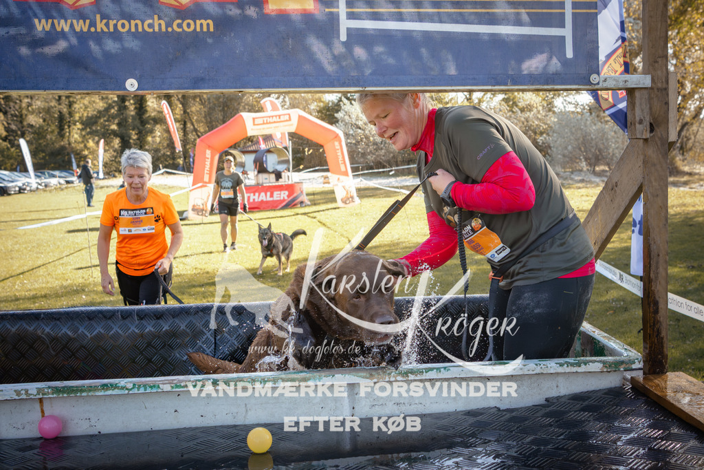 1221_ZZ95754 | kk-dogfotos