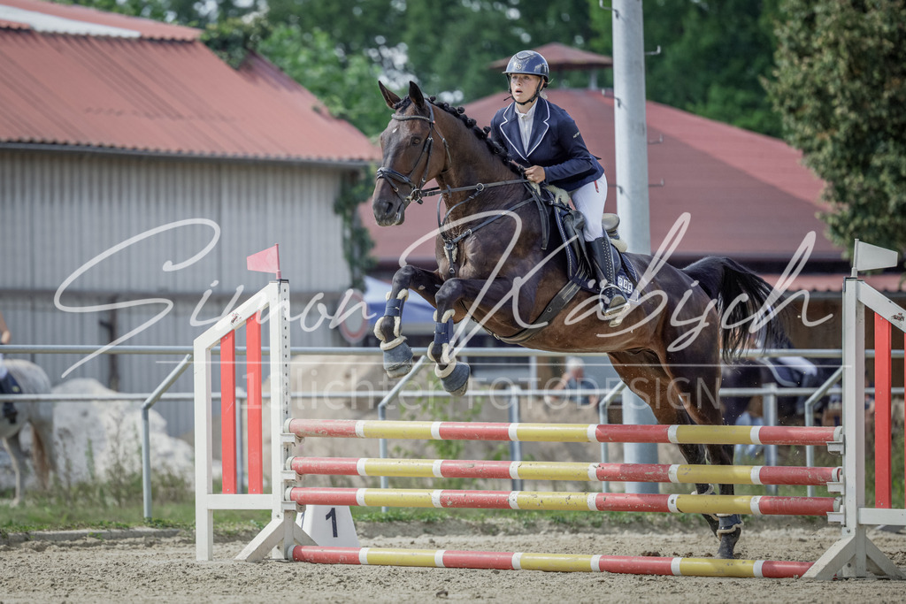 20250906-_3LI6250 | Tierfotografie Pferde, Hunde, Katzen, Haustiere.
Turnierfotografie Reitturniere, Reiten, Springreiten, Dressur in Hanau, dem Main-Kinzig-Kreis und dem Rhein-Main- Gebiet um Frankfurt