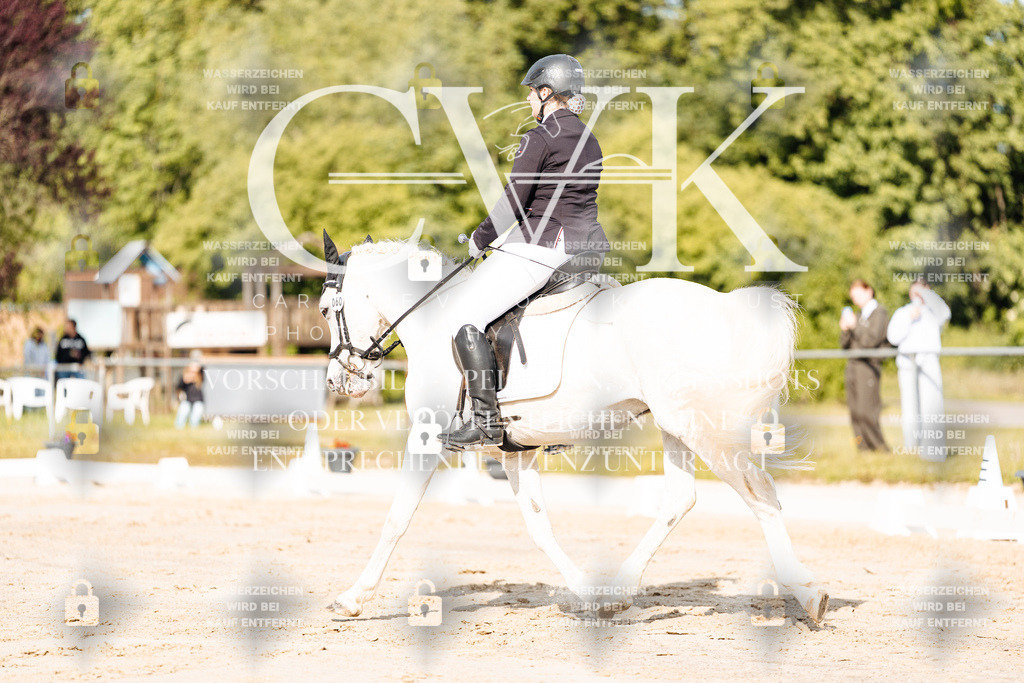 CK900090 | Turnierfotografie Pferdefotografie Trier Rheinland-Pfalz Pferdesport Reitsport Tierfotografie Sportfotografie Pferdevideo Pferdevideografie Equestrianvideography equestrianphotography  - Realisiert mit Pictrs.com