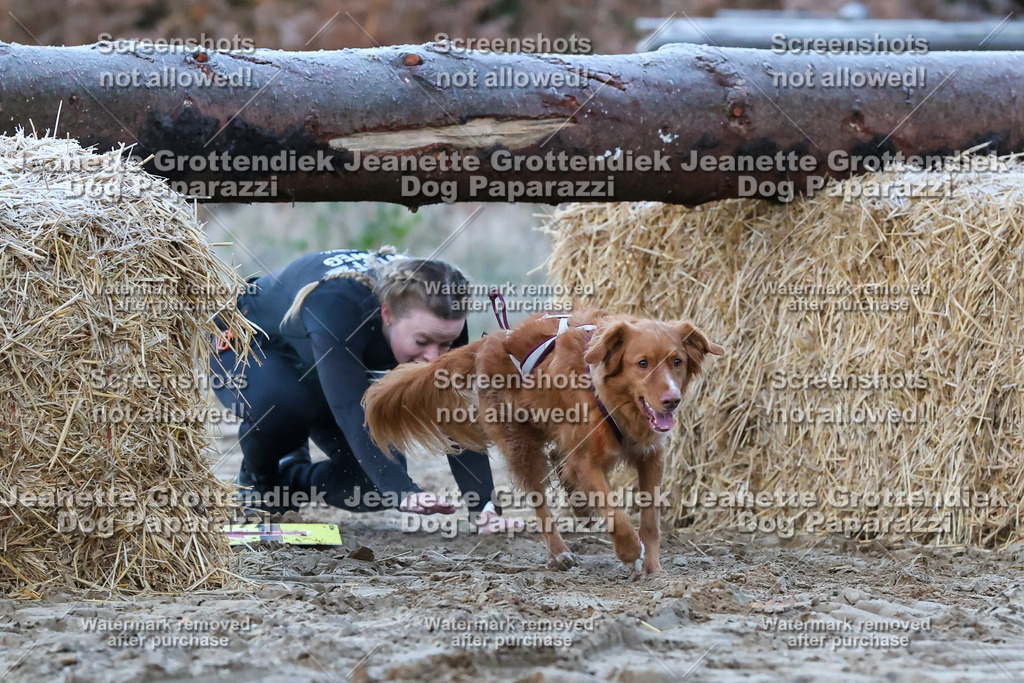 Dog Paparazzi - Strongdog 10-25-60 | Dog Paparazzi Jeanette Grottendiek Fotografie & Videografie - Realisiert mit Pictrs.com