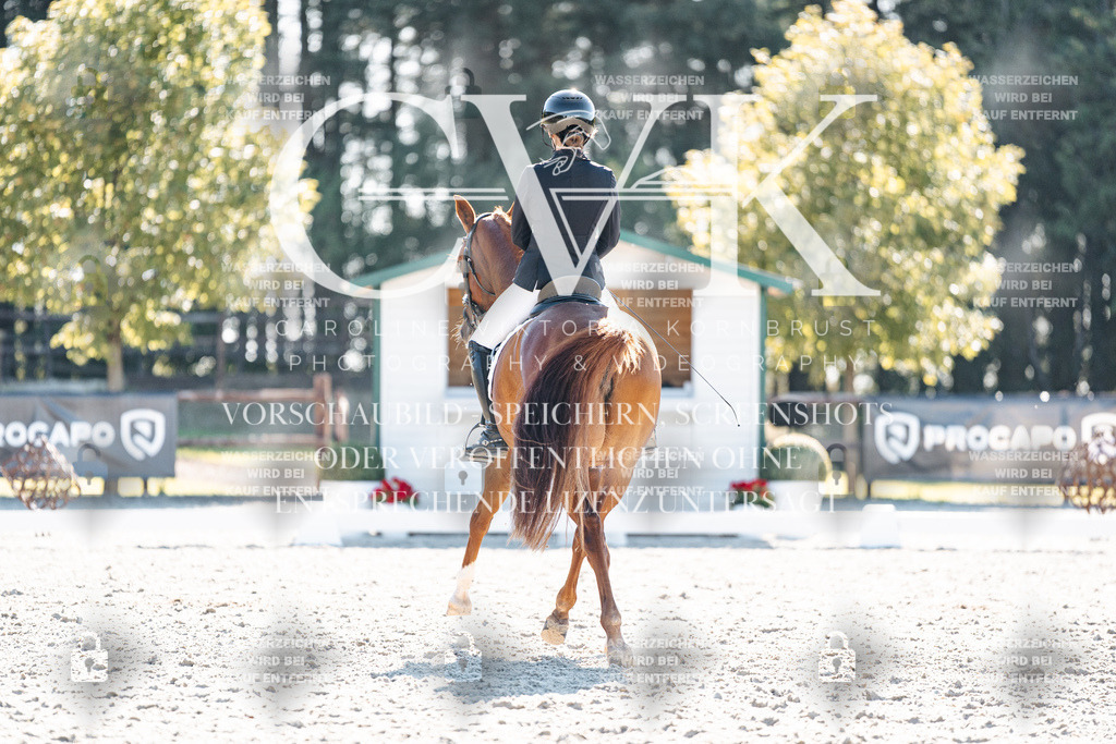 CK906036 | Turnierfotografie Pferdefotografie Trier Rheinland-Pfalz Pferdesport Reitsport Tierfotografie Sportfotografie Pferdevideo Pferdevideografie Equestrianvideography equestrianphotography  - Realisiert mit Pictrs.com