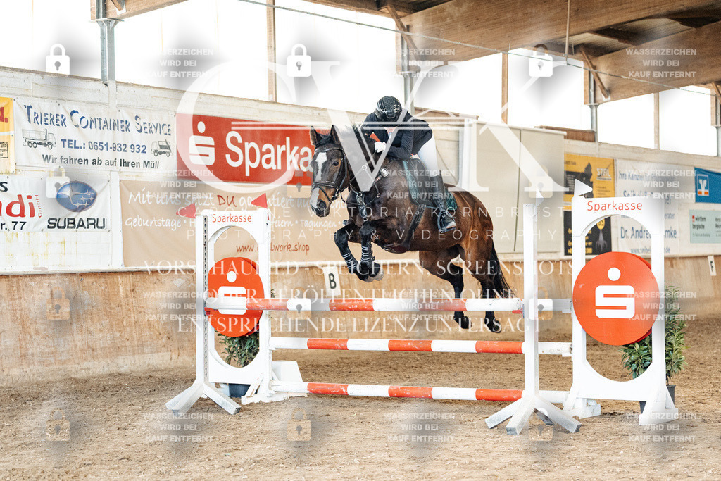 CK905364 | Turnierfotografie Pferdefotografie Trier Rheinland-Pfalz Pferdesport Reitsport Tierfotografie Sportfotografie Pferdevideo Pferdevideografie Equestrianvideography equestrianphotography  - Realized with Pictrs.com