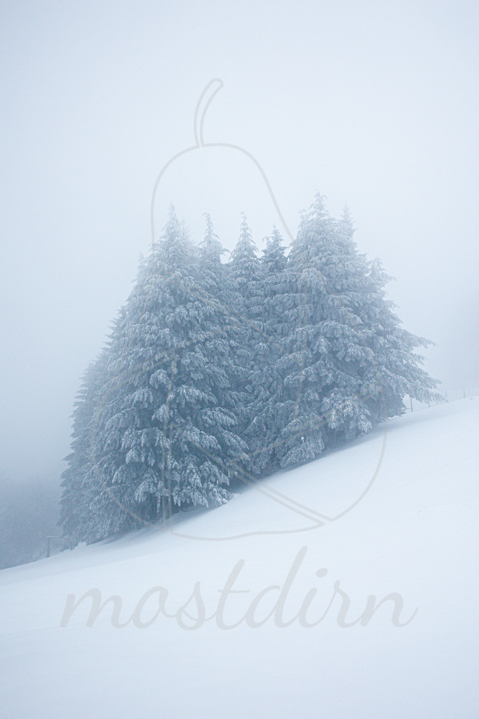 Frozen Mostviertel | Ihre Fotografin im Lungau, ihre Fotografin im Mostviertel, Wandbilder Onlineshop, Imagefotos für Ihr Unternehmen,  - Realisiert mit Pictrs.com