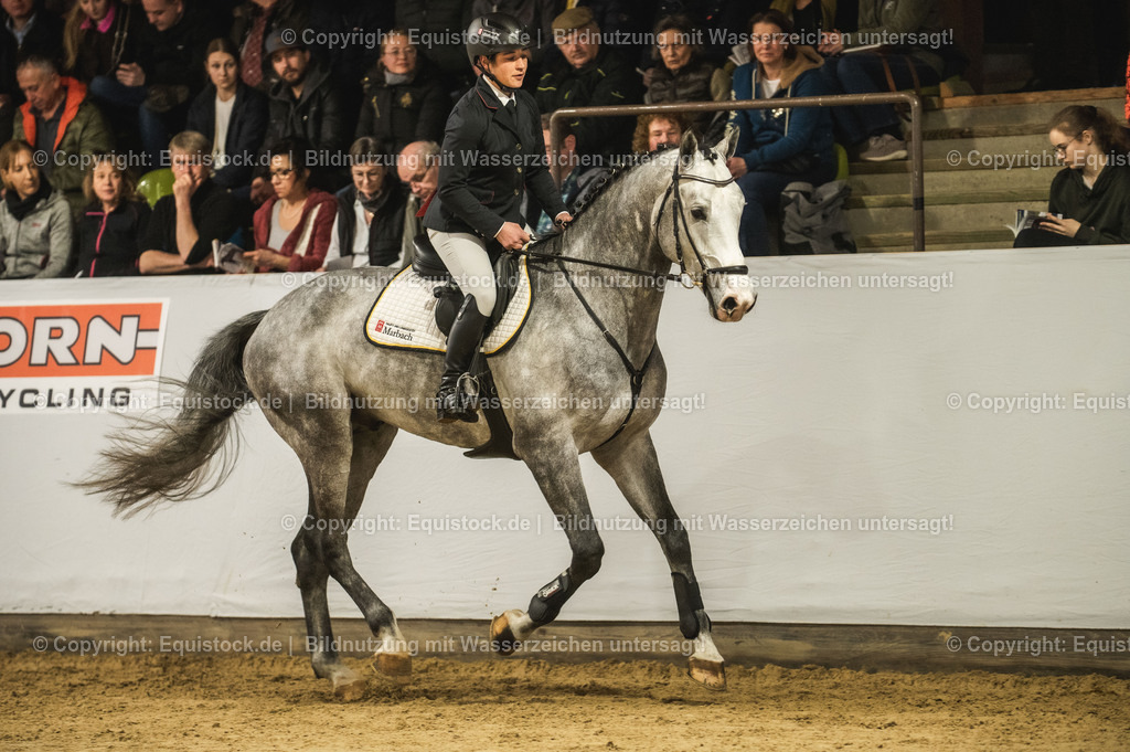 20240302_Hengstvorstellung_Marbach_TOMsPiC_0313 | equistock