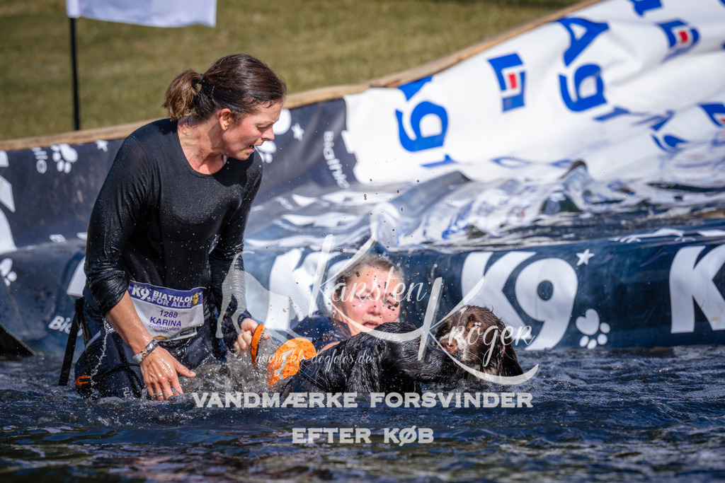 _ZZ980750754 | kk-dogfotos