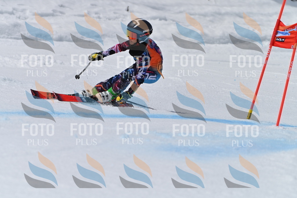 BGV_7199 | holidayphoto