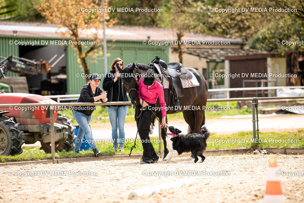 Heiligenwald Tag 1-603 | dv-media-shop - Realisiert mit Pictrs.com