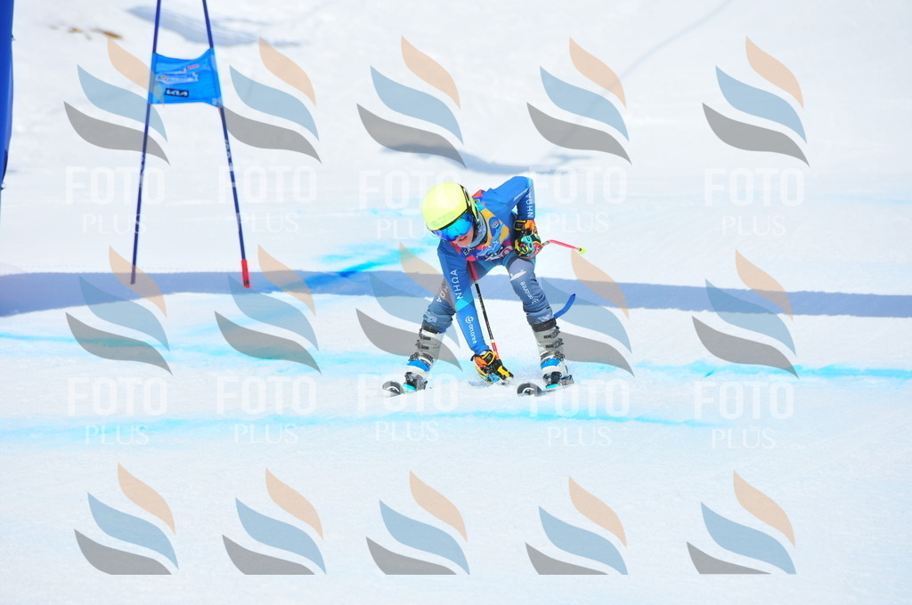 DSC_6805 | holidayphoto