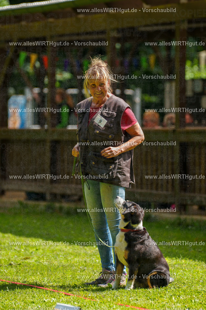 @allesWIRTHgut_Tierfotografie - www.allesWIRTHgut.de - 7R503447 | Professionelle Tierfotografie in Mönchengladbach von Daniel Wirth (allesWIRTHgut). Liebevolle & natürliche Bilder von Hunden & Katzen für unvergessliche Erinnerungen.