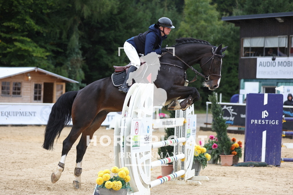 0P6A8728 | Willkommen bei Brunnmayr - Design & Fotografie – Ihrem Spezialisten für Reitturniere und Pferdeveranstaltungen in Oberösterreich, Salzburg und Bayern! Seit über 17 Jahren sind wir leidenschaftlich dabei.