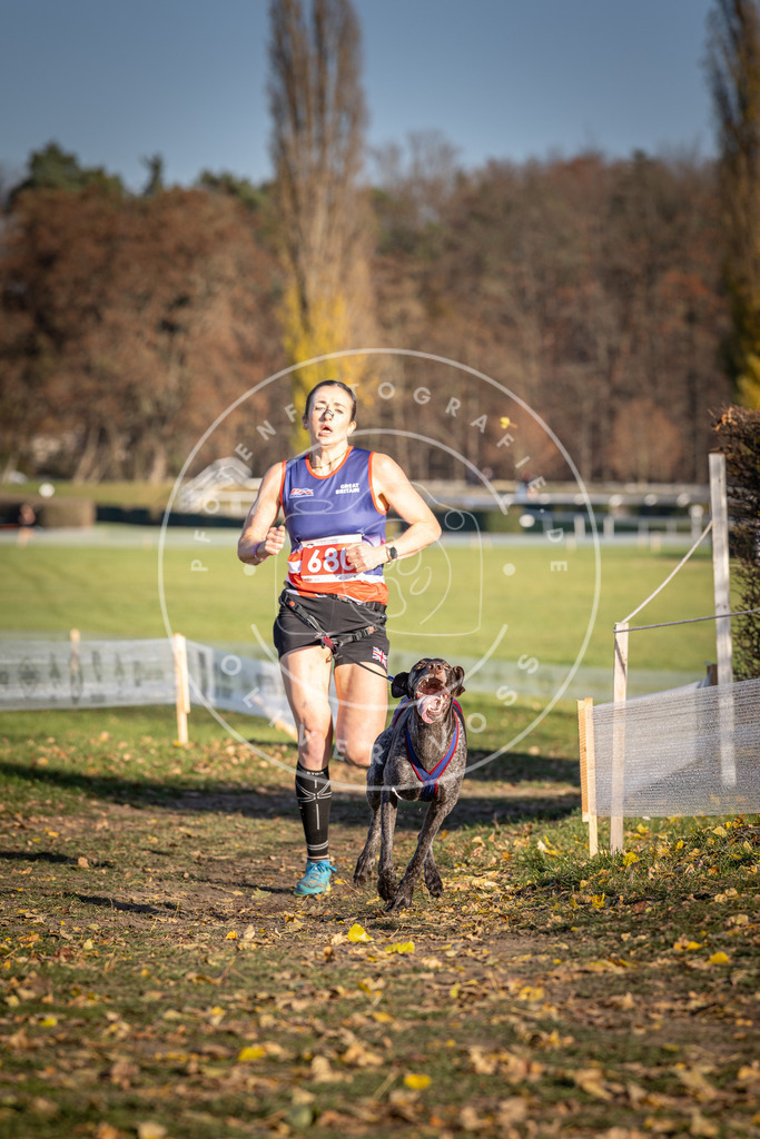 CaniXpix_DV3A1073 | Hundefotografie, Tierfotograf, Pfotenfotografie, Fotoshooting Hund, Hunde Portrait, Hundesport, Hundeportraits, Heideshooting, Hunde, Sportfotograf, Hundefotograf, Turnierhundsport, THS,  - Realisiert mit Pictrs.com