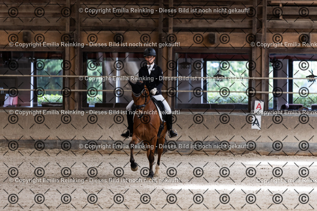 CL5A3861 | Emilia Reinking Fotografie - Realisiert mit Pictrs.com