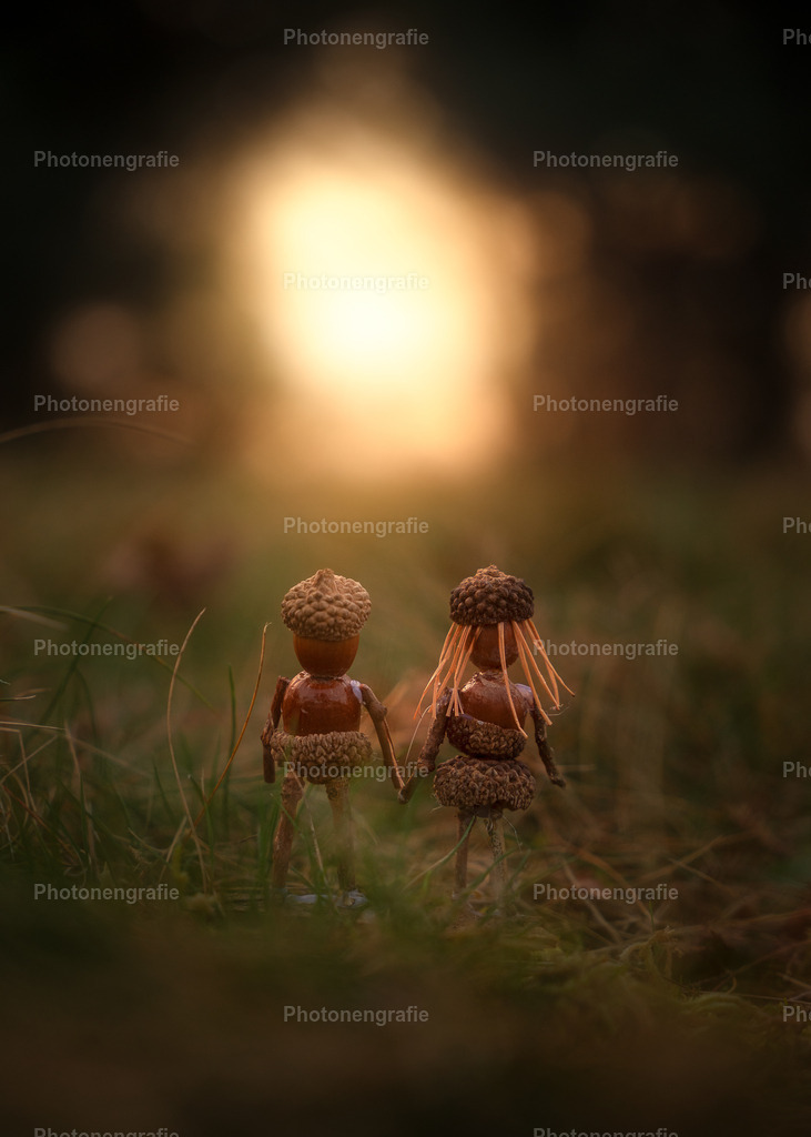 Das Portal | Photonengrafie´s Shop - Realisiert mit Pictrs.com