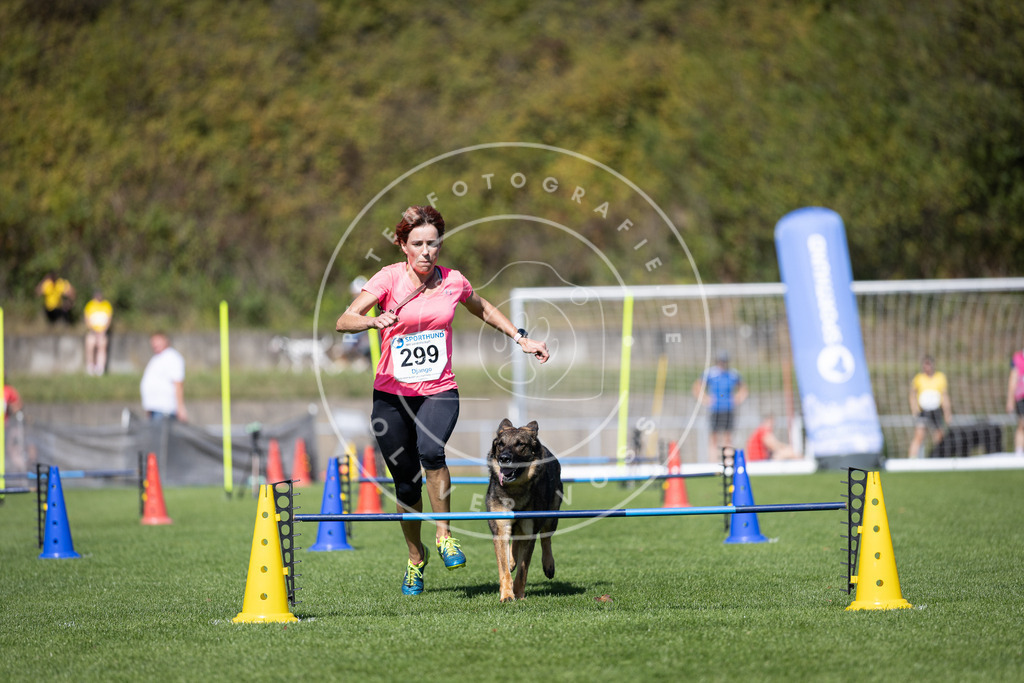 Pfotenfotografie_DV3A7717 | Hundefotografie, Tierfotograf, Pfotenfotografie, Fotoshooting Hund, Hunde Portrait, Hundesport, Hundeportraits, Heideshooting, Hunde, Sportfotograf, Hundefotograf, Turnierhundsport, THS,  - Realisiert mit Pictrs.com